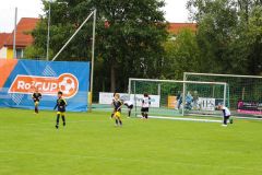 2026-RoCUP-054