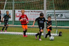 2026-RoCUP-084