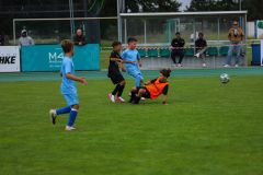 2026-RoCUP-132