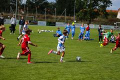 2026-RoCUP-175