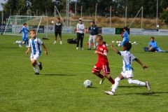 2026-RoCUP-177