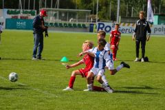 2026-RoCUP-179