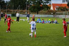 2026-RoCUP-204
